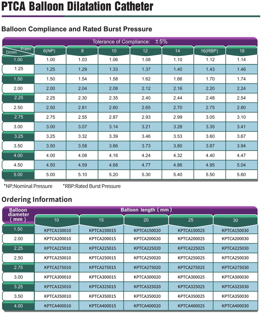 Selethru SC PTCA Dilatation Catheter
