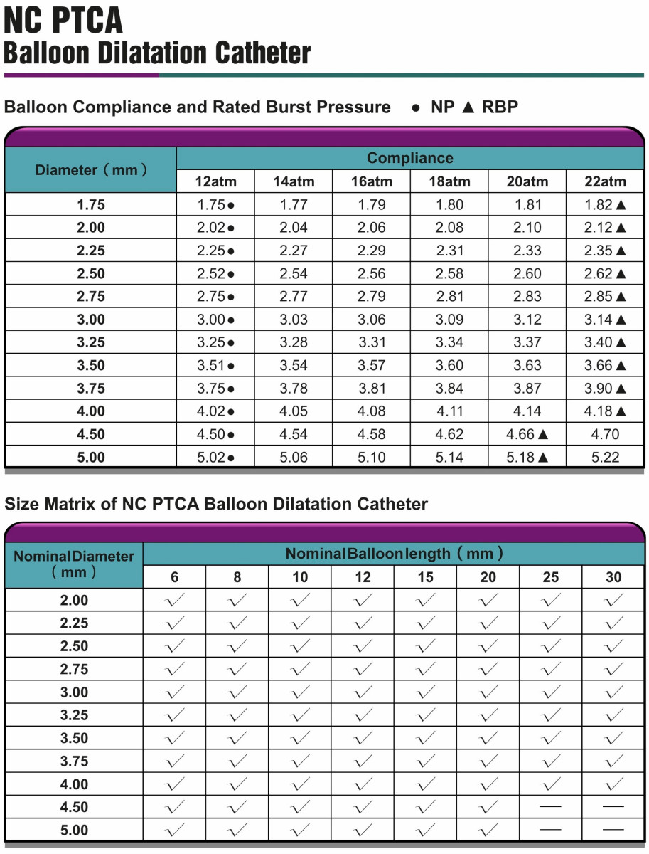 Selethru NC PTCA Dilatation Catheter